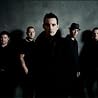 Street Dogs�_�̉摜