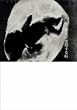 �َ��������鎞 [DVD]
