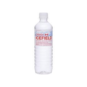 �J�i�_�̓V�R�X�͐��@�A�C�X�t�B�[���h 500ml 24�{����