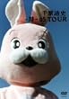-��-05TOUR [DVD]