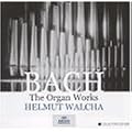 Organ Works