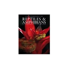 Encyclopedia of Reptiles and Amphibians, Second Edition (Natural World)