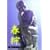 �t��f�[���B�[�f�[ (��) [DVD]