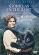 ���͖��̂��Ȃ��� [DVD]