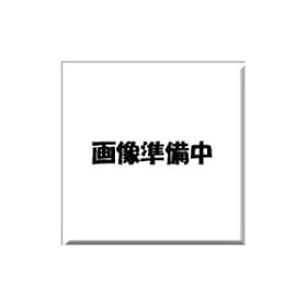 �O���[���n�E�X 70�{��(10MB/s)�X�^���_�[�h�R���p�N�g�t���b�V�� 512MB GH-CF512MC