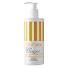 �r�I���X�^�@�w�A�V�����v�[ GB(���Ȃ₩/�O���[�v�t���[�c�x���K���b�g)�@350ml