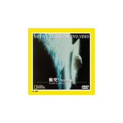 �Փ�!�a���Ə��f�� [DVD]