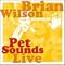 �u���C�A���E�E�B���\���iBrian Wilson�j�̃\����i��S�������i�Q����i�͏����j�E�p�[�g�Q�i2002�`�j