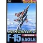 F-15 EAGLE THE FIGHTER (2)