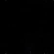 The Black Album