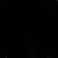 The Black Album