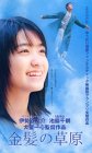  金髪の草原 [VHS]