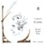 Carlos Kleiber Plays Mozart, Haydn, Berg