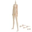 25BD-F02W�@25cm�{�f�B�@M�T�C�Y�@�z���C�e�B