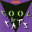 Cool for Cats