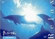 ���̃\�m���e�B �q�[�����O�E�G�f�B�V���� RELAX [DVD]