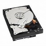 WESTERN DIGITAL 3.5�C���`����HDD 1TB Serial-ATA 7200rpm 32MB WD1001FALS