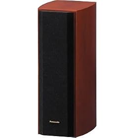 Panasonic �T���E���h�o�b�N�X�s�[�J�[�V�X�e�� SB-PS800-M