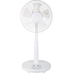 NEOVE リビング扇風機（5枚羽根） 白 FTS30-T12