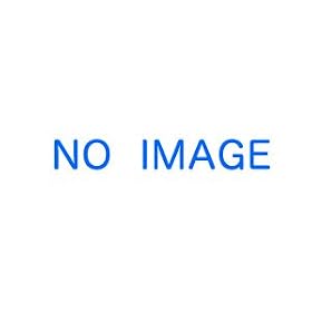iBasso Audio HDP-R10�p �V���R���W���P�b�g HC-R10B
