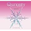 J-POP HOUSE COVERS Q;uriosity~Wild Wild Winter/Spring
