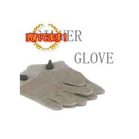 FLEXiA (�t���L�V�A) / �V���o�[�O���[�u �y���������z