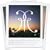 DRM(DVD�t)