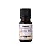 �p�i�\�j�b�N �C�I���X�`�[�}�[�i�m�P�A��p�A���}�I�C���i��10mL�jPanasonic �^�����x���_�[ EH-4S01