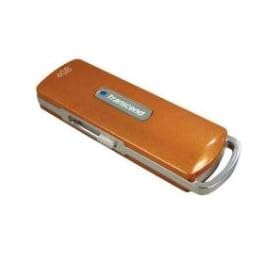 Transcend TS4GJF110 JetFlash 110 4GB