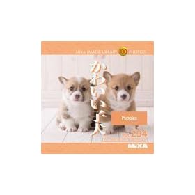 MIXA IMAGE LIBRARY Vol. 294 ���킢���q��