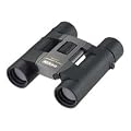 Nikon �o�ዾ �X�|�[�c���C�g 10X25D CF SL10X