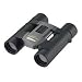 Nikon �o�ዾ �X�|�[�c���C�g 10X25D CF SL10X