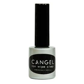 ��PREGEL�i�v���W�F���j<BR>�L�����W�F�� �m�����C�v�N���A�@�W��