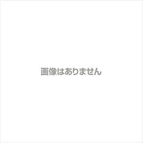 �L�E�{�[�h�p�t�b�NUFK-1(5��)