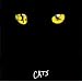 ���c�l�G�~���[�W�J���uCATS�v�����O�����E�L���X�g