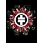 ���C���E�C���E�}���`�F�X�^�[ [DVD]