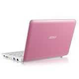[MSI Wind Netbook/Romantic Pink]