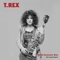 20th Century Boy~��2��