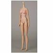 �I�r�c�{�f�B S60 27BD-F06N ����Body SBH-M �i�`������
