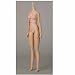 �I�r�c�{�f�B S60 27BD-F06N ����Body SBH-M �i�`������