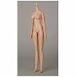 �I�r�c�{�f�B S60 27BD-F07N ����Body SBH-L �i�`������