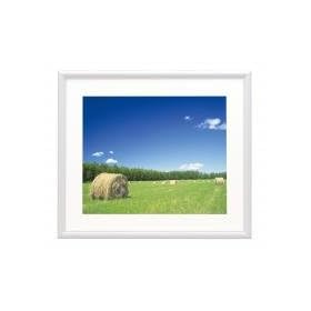 �t�W�J���[ �A���~�z�� �z���C�g YA-3 4�� 17332