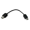 �~���r�b�N�X miniUSB�EMicroUSB�ϊ��A�_�v�^ HAMIBMCB