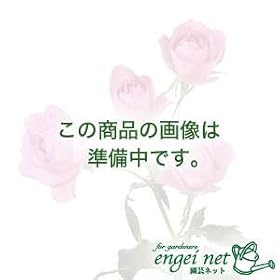 �t�����[���b�NFR-1�̑ւ��J�o�[[�r�j�[�������ɂȂ�Ԕ��V�F���t]