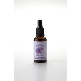 �t�B���h�z�[���@�t�����[�G�b�Z���X�@�X�s���`���A���}���b�W