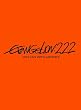 �����@���Q�������V����ŁF�j�@EVANGELION:2.22 YOU CAN (NOT) ADVANCE.�y�ʏ�Łz [DVD]