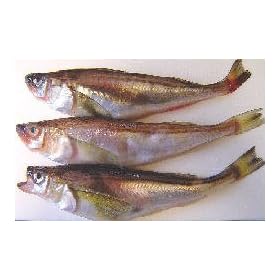 �H�c�Y �n�^�n�^�@���X�@18���i2~2.5kg�j�@�Ⓚ