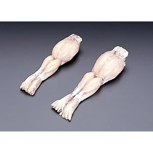 カエル肉モモ1kg