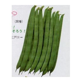 �V�]�ː�[�C���Q����]�y�^�l�z1L