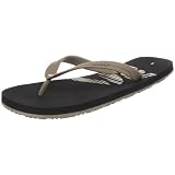 Reef Reef Pulse Flip-Flop